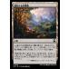MTG ������/���ܸ��Ǣ�(340)�Կʲ�����̤����/Evolving Wilds��[M3C] ����C