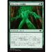MTG ����/���ܸ��Ǣ� �ԥĥ꡼�ե������α���/Treefolk Umbra�ե����ۥ饤����MH1