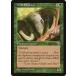 MTG /ѸǢ ξ/Wild Elephantեߥ顼 MIR