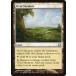 MTG ������/�Ѹ��Ǣ� ������������/Vivid Meadow�ե����ޥ������� MM1