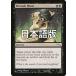 MTG ����/���ܸ��Ǣ� �������ͤ��ڤ�/Wrench Mind�եߥ�ǥ��� MRD