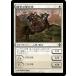 MTG ����/���ܸ��Ǣ���Ʈ��γؤӼ�/Student of Warfare�ե���ɥ顼������ ROE