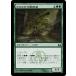 MTG ����/���ܸ��Ǣ� �ԥ��������δƻ��/Korozda Monitor�ե���˥��ؤβ� RTR