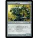 MTG ��̵/���ܸ��Ǣ��ԥ������������¤��/Sylvok Replica�եߥ�ǥ���ν��� SOM