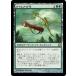 MTG ����/���ܸ��Ǣ��ԥʥ��쥢�ε�/Bow of Nylea�եơ����� THS