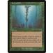 MTG ����/�Ѹ��Ǣ� �ԥ��ť�������/Scent of Ivy�ե��륶�����쥬���� ULG