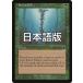 MTG ����/���ܸ��Ǣ� �ԥ��ť�������/Scent of Ivy�ե��륶�����쥬���� ULG