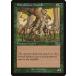MTG /ѸǢ ԥ֥åɡĥ꡼ե/Blanchwood Treefolkե륶 USG