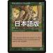 MTG /ܸǢ ԥ֥åɡĥ꡼ե/Blanchwood Treefolkե륶 USG