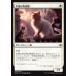 MTG ����/���ܸ��Ǣ� �Թ���������ǭ/Charmed Stray���������� WAR