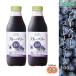 �u���[�x���[100 �ʏ`100���X�g���[�g 500ml �����I 2�{�Z�b�g