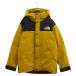  The North Face 22AW GORE-TEX Mountain Down Jacket ND92237 Gore-Tex mountain пуховик минерал Gold 