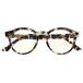 CUTLER AND GROSSka тигр - and блеск 1378Swe Lynn тонн рама прозрачный солнцезащитные очки очки белый / Brown 