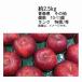  free shipping . sphere apple Aomori prefecture other approximately 2.5kg number approximately 10-11 sphere rank special selection / preeminence 