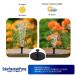 �\�[���[�|���v ���� ���O 1.5w �K�[�f���p���� �ی^���z�����|���v ���O ���z���[�d ���� �ݒu �����\ ���p�r �v�[�� ���� �r ��̑����p �K�[�f���p SOLAPPF �֘A�摜3