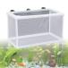 FujiFrugal рыба размножение сегрегация box производство яйцо кейс 1 штук входит 26*15*15cm производство яйцо размножение сегрегация bo