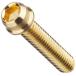  Kitaco (KITACO) vivid болт 24K покрытие M6×P1.0×28mm 2 штук 0901-060