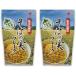 o-sawa Japan семя гречихи хлопья (80g) ×2 комплект 