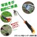 ������ ������J�} �����蓹�� ������ �c�[�� �������� �� �L ��� ������ ����� �G������ �G����� ���ނ��� �G�� �� �� �������� ���� �� �������� �� �|�� �֘A�摜2