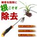 ������ ������J�} �����蓹�� ������ �c�[�� �������� �� �L ��� ������ ����� �G������ �G����� ���ނ��� �G�� �� �� �������� ���� �� �������� �� �|�� �֘A�摜4