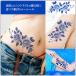 �^�g�D�[�V�[�� �K�N �� �{�f�B�y�C���g ����n �n���E�B�� �R�X�v�� �� ���� �r�L�j �^���L�j �̌^�J�o�[