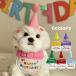 �� �a���� �O�b�Y �Z�b�g �o�[�X�f�[ �X�q �X�^�C �y�b�g ���^�� ���^�� �L ���a������ ���� �p�[�e�B�[ ���� ���o���� �C�x���g �� ���� happybirthday ����