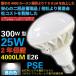 ä4000롼ȳȥåץ饹 300W25W4000lm뤵 LED ŵ PAR38 E26 5000