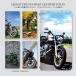 �蒠�^ �X�}�z�P�[�X �x���g�Ȃ� �o�C�N���i�� �A�����J�� �X�|�[�c �H �g�t ��i �J�[�h���[ �}�O�l�b�g�J�� �S�@��Ή�
