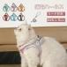  love кошка. шея к плата . уменьшение! кошка для Harness шлейка Lead кошка для собака кошка двоякое применение выпадение трудно вместе выход симпатичный модный прогулка отражающий сетка "дышит" выпадение нет простой переустановка 