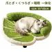  натуральный носорог The ru кошка коготь .. bed .. соус имеется коготь .. релаксация сон в одном корпусе relax bed кошка для bed кошка мебель крепкий выносливость для помещений лес серия relax bed 