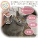 �y�b�g �I���W�i���N�b�V���� �~�j�L�[�z���_�[ �y�b�g�I���W�i�� �A�N�����L�[�z���_�[ ���� �I�[�_�[�L�[�z���_�[ ���{ �������A���O�b�Y �� �L ���ʎʐ^ �L�O �֘A�摜5
