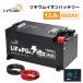 LVYUAN 12.8V/460AH 5.88KWH Ŵ।Хåƥ꡼ Ű&ήդ EVE LiFePO4 5ǯݾڡ