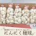 [ вид для ].. вид белый чеснок вид лампочка 4L/1kg×10 ( China стандарт 4L размер /1kg сеть. стандарт шар число 14-16 шт )*9/23 примерно поступление последовательность отправка 