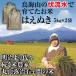 令和元年産　庄内米はえぬき（精米） 10kg