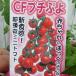  мини помидоры маленький .. незначительный кожа рассада 3.5 номер овощи рассада огород 220426