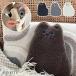  Minette теплый грелка L конечный продукт | мягкая игрушка холодозащитный японское просо ... электро- товары теплый теплый согревающий товары повторение tere Work оставаясь дома ..
