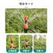 �����m�Y�� �����m�Y�� 5�Z�b�g �X�v�����N���[ ����������p ����/�~�X�g���p ���ʒ����� B007 �֘A�摜5