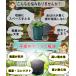 �s�D�z�|�b�g 5�Z�b�g �A�ؔ� �v�����^�[ �Ȉ� �R���p�N�g ���[ ���S ���x ���� �K�[�f�j���O DIY  �������  �ʋC ���� ���A�� ���@�\ ���i�� 10���� C057 �֘A�摜1