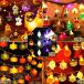 �S�f�U�C������I�ׂ� �n���E�B�����C�g �d�r�� 3m 20LED �C���~�l�[�V���� ���O �I�[�i�����g �L�����v �p�[�e�B�[ ���ڂ��� ���΂� �݂艺�� �K�[�����h �֘A�摜5