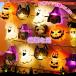 �S�f�U�C������I�ׂ� �n���E�B�����C�g �d�r�� 3m 20LED �C���~�l�[�V���� ���O �I�[�i�����g �L�����v �p�[�e�B�[ ���ڂ��� ���΂� �݂艺�� �K�[�����h �֘A�摜1