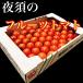  Kochi prefecture production night .. fruit tomato box included 1 kilo 12 sphere from 20 sphere rom and rear (before and after) compact box free shipping 