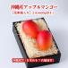 [ подарок максимальный ограничение соответствует ][ несессер ввод ] Okinawa производство Apple манго 2 шар (660g и больше ) немедленно отгрузка возможно * вся страна везде бесплатная доставка Okinawa .. свежий прямая поставка 