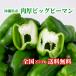 [ бесплатная доставка по всей стране ] Okinawa префектура производство мясо толщина большой зеленый перец 5kg(35 шт ~55 шт ) свежий прямая поставка 