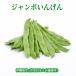 [ бесплатная доставка по всей стране ] Okinawa префектура производство jumbo ....4kg свежий прямая поставка 