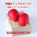 [ подарок максимальный ограничение соответствует ][. в коробке ] Okinawa производство Apple манго 2 шар (800g и больше ) немедленно отгрузка возможно * вся страна везде бесплатная доставка Okinawa .. свежий прямая поставка 