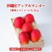 [ подарок максимальный ограничение соответствует ][. в коробке ] Okinawa производство Apple манго 4~6 шар (2kg и больше ) немедленно отгрузка возможно * вся страна везде бесплатная доставка Okinawa .. свежий прямая поставка 