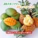  Okinawa префектура производство [ есть перевод ] ключ tsu манго ( иллюзия. манго )& Okinawa префектура производство [ есть перевод ] ананас комплект 2~4 шар (2kg и больше )&1~2 шар (1kg и больше )[ бесплатная доставка * немедленная отправка возможно ] свежий прямая поставка 