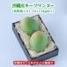 [ подарок максимальный ограничение соответствует * несессер ввод ] Okinawa префектура производство ключ tsu манго ( иллюзия. манго ) 2 шар (1.2kg и больше )[ немедленная отправка возможно * бесплатная доставка ] свежий прямая поставка 