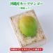 [ подарок максимальный ограничение соответствует *. в коробке ] Okinawa префектура производство ключ tsu манго ( иллюзия. манго ) 1 шар (600g и больше )[ немедленная отправка возможно * бесплатная доставка ] свежий прямая поставка 
