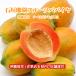 [ бесплатная доставка * немедленно отгрузка возможно ] Okinawa префектура производство камень ... фрукты папайя 6~10 шар (4kg и больше )